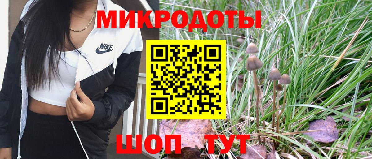 Галлюциногенные грибы мицелий Подольск